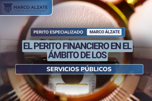 Como perito con experiencia en el análisis financiero de servicios públicos, he tenido la oportunidad de involucrarme en diversos casos y proyectos que requieren un conocimiento profundo y detallado de cómo se manejan las finanzas en este ámbito