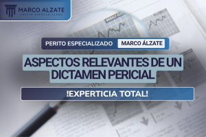 Este informe no solo es crucial para la resolución de disputas, sino que también ofrece una visión integral de la gestión técnica y financiera del proyecto en cuestión. Permítanme explicar con mayor profundidad cómo abordo cada una de las fases del proyecto y los principios que guían mi trabajo