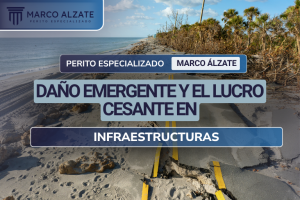 Como perito en esta área, he tenido la oportunidad de analizar diversos casos y comprender en profundidad cómo estos conceptos juegan un papel crucial en la evaluación de los impactos financieros de proyectos que enfrentan imprevistos o pérdidas