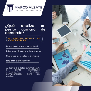 Perito Cámara de Comercio