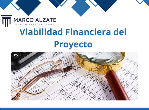 Viabilidad Financiera del Proyecto